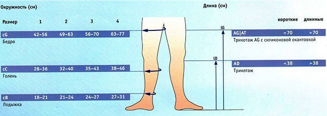 BAUERFEIND VenoTrain discretion_подбор размера.jpg